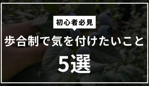 オーストラリアワーホリ初心者必見！歩合制の仕事で気を付けたい5つのポイント